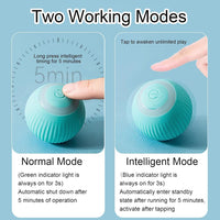 Votvy Smart LED 360° Rotating Cat & Dog Pet Toy Ball | Rechargeable, Interactive Pet Chaser with LED, Automatic Obstacle Avoidance, Ideal for Stimulating Indoor Cats (Blue)