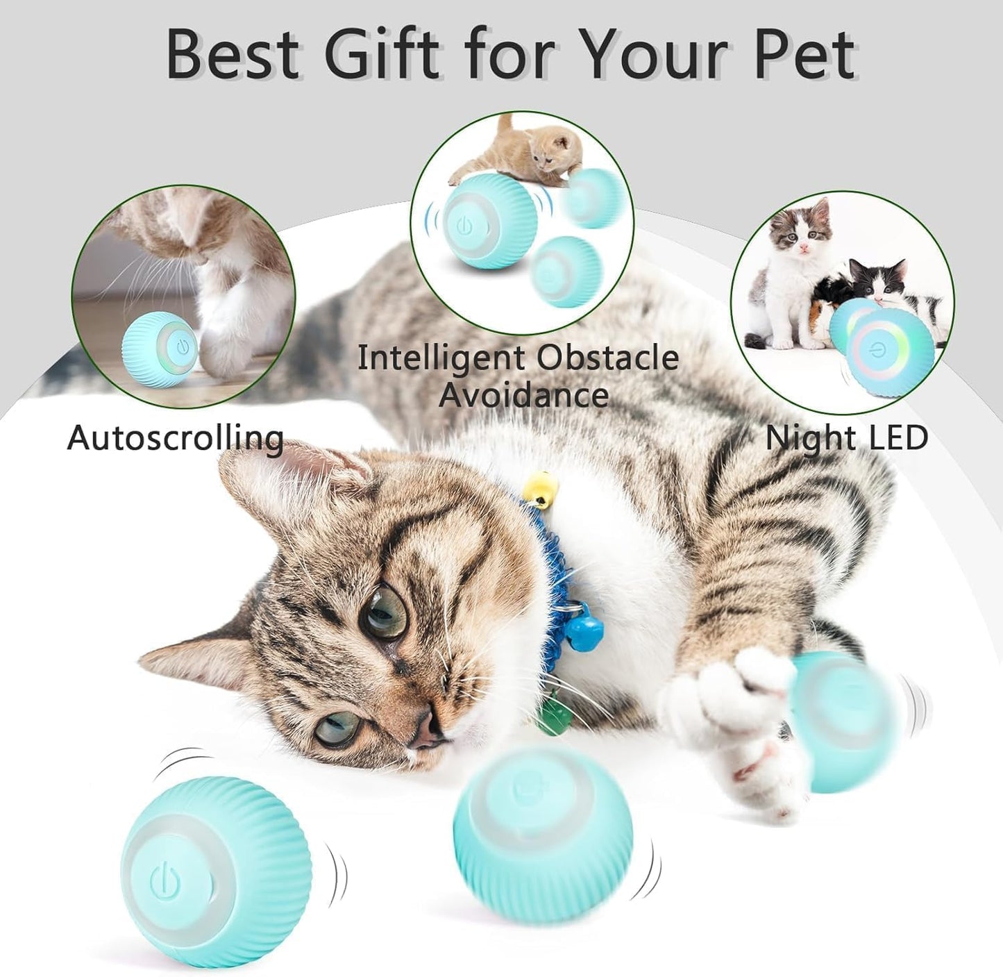 Votvy Smart LED 360° Rotating Cat & Dog Pet Toy Ball | Rechargeable, Interactive Pet Chaser with LED, Automatic Obstacle Avoidance, Ideal for Stimulating Indoor Cats (Blue)