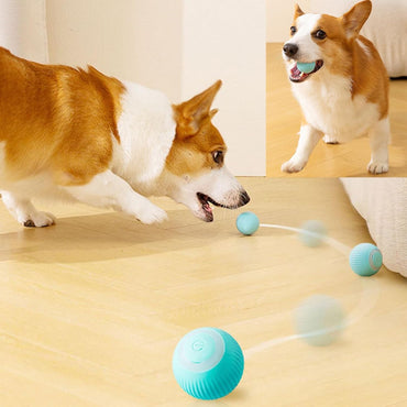 Votvy Smart LED 360° Rotating Cat & Dog Pet Toy Ball | Rechargeable, Interactive Pet Chaser with LED, Automatic Obstacle Avoidance, Ideal for Stimulating Indoor Cats (Blue)