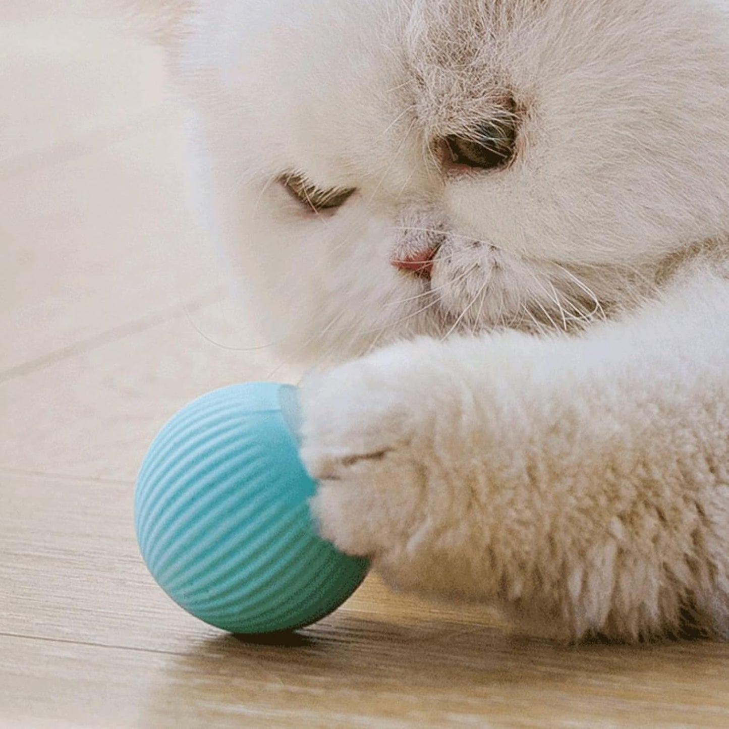 Votvy Smart LED 360° Rotating Cat & Dog Pet Toy Ball | Rechargeable, Interactive Pet Chaser with LED, Automatic Obstacle Avoidance, Ideal for Stimulating Indoor Cats (Blue)